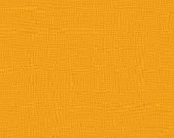 [200111120_20] Taralay Initial Compact - 0949 Diversion Soleil
